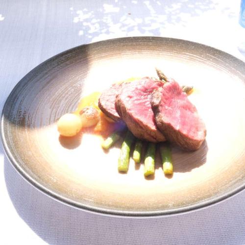 Gastroerasmus 2026