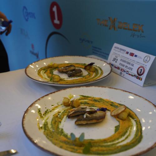Gastroerasmus 2025