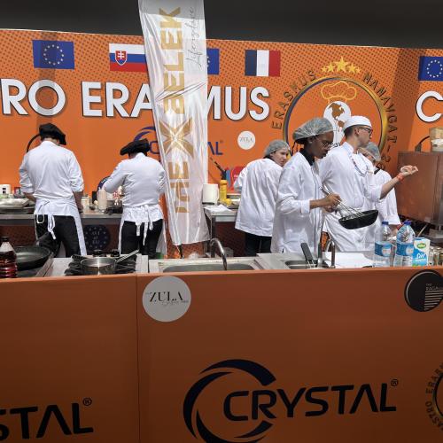 Gastroerasmus 2024