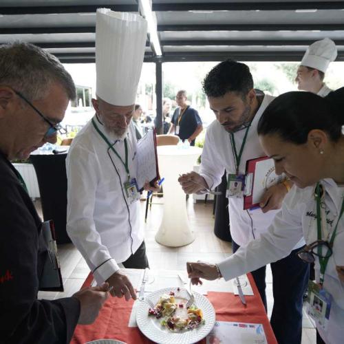 Gastroerasmus 2025