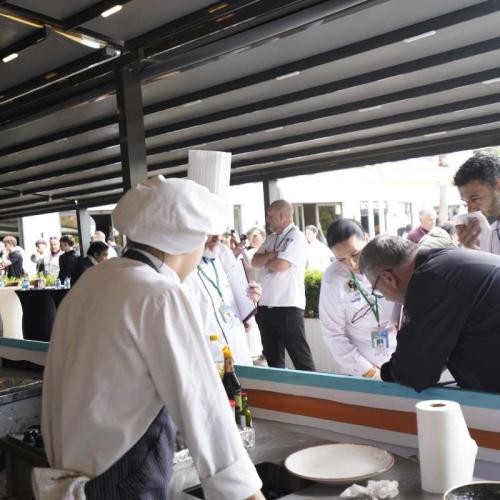 Gastroerasmus 2025