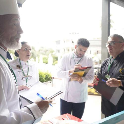 Gastroerasmus 2025