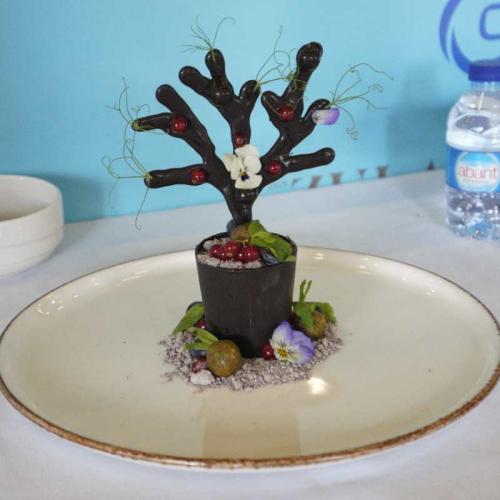 Gastroerasmus 2025