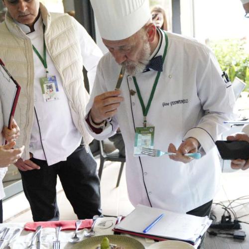 Gastroerasmus 2025