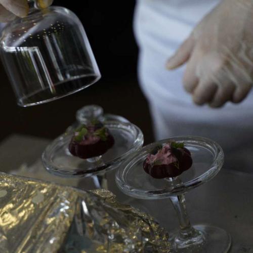 Gastroerasmus 2025
