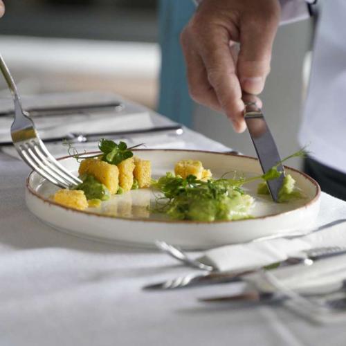 Gastroerasmus 2025
